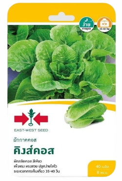 สลัดคิงส์คอสOPศรแดงGG